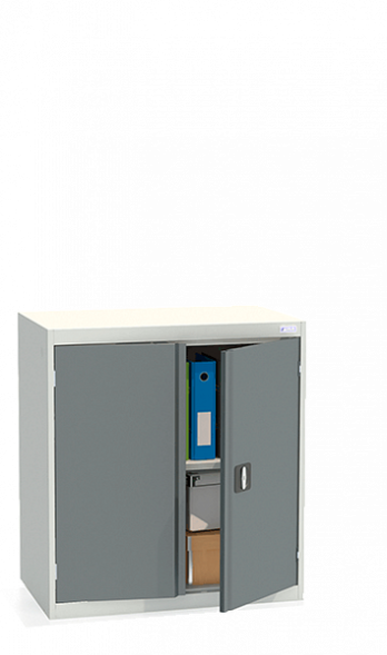 Шкаф архивный ШХА/2-850(50)