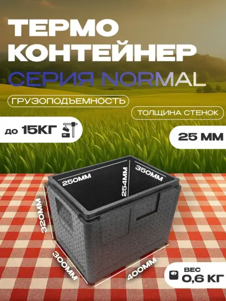 Термоконтейнер TERMOBOX Бытовой Normal, 22 л, 400х300х320 мм, 40кг/м3