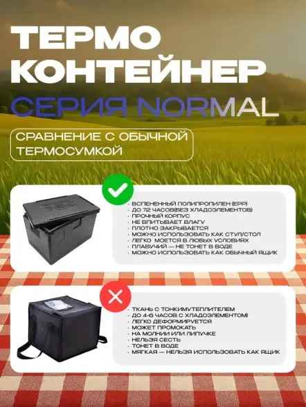 Термоконтейнер TERMOBOX Бытовой Normal, 22 л, 400х300х320 мм, 40кг/м3