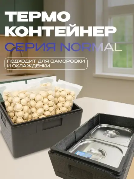 Термоконтейнер TERMOBOX Бытовой Normal, 46 л, 600х400х320 мм, 40кг/м3