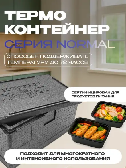 Термоконтейнер TERMOBOX Бытовой Normal, 46 л, 600х400х320 мм, 40кг/м3