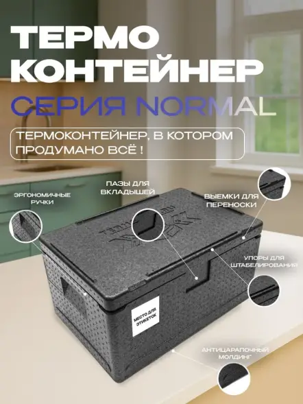 Термоконтейнер TERMOBOX Бытовой Normal, 46 л, 600х400х320 мм, 40кг/м3