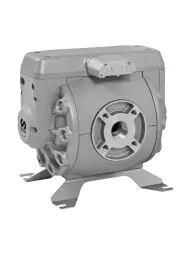 Диафрагменный насос DF 250