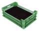 Ящик пластиковый с лотком для гидропонной выгонки тюльпанов, 600х400х190 мм, зеленый [600400190-02-2]