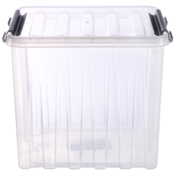 Контейнер с крышкой и клипсами Rox Box Original, 4,5 л, 210x170x175 мм, прозрачный