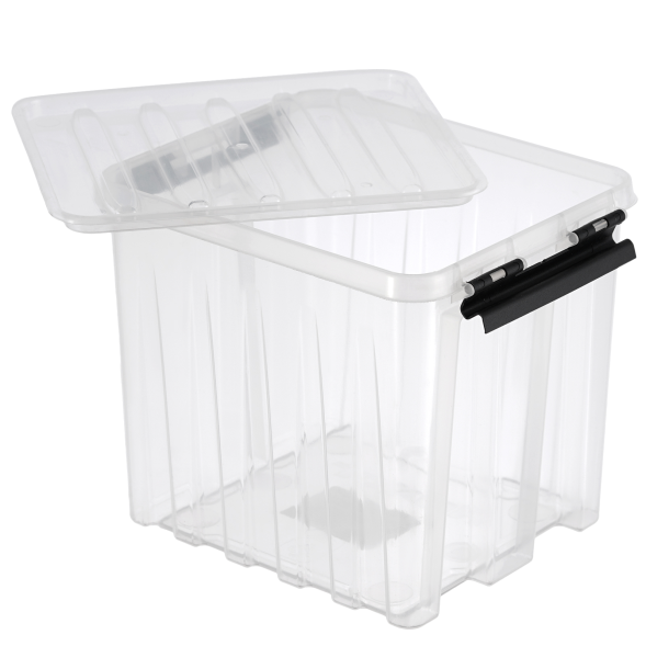 Контейнер с крышкой и клипсами Rox Box Original, 4,5 л, 210x170x175 мм, прозрачный